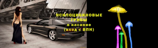 apvp Алексин