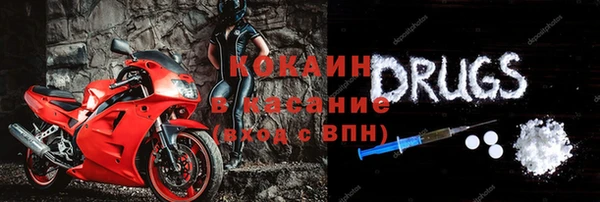 прущие грибы Наволоки