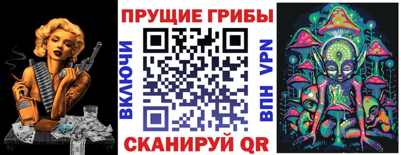наркота  Хвалынск  Псилоцибиновые грибы Magic Shrooms 
